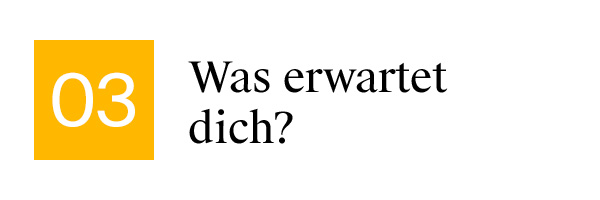 Was erwartet dich?